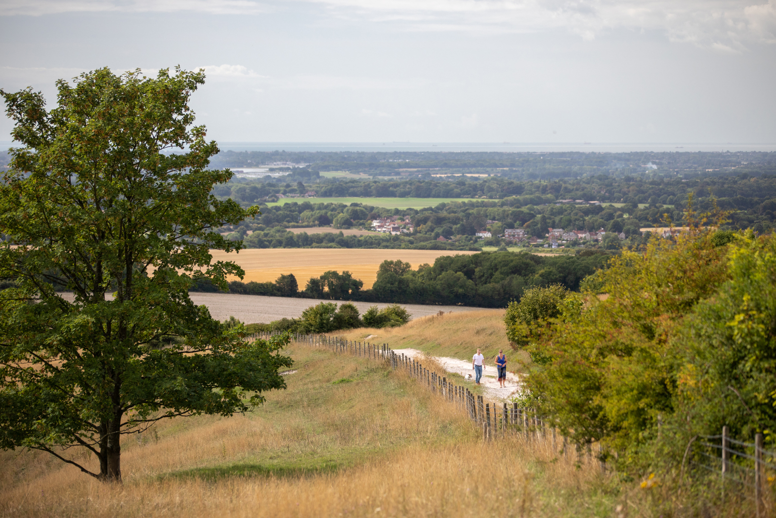Local area shot of the countryside