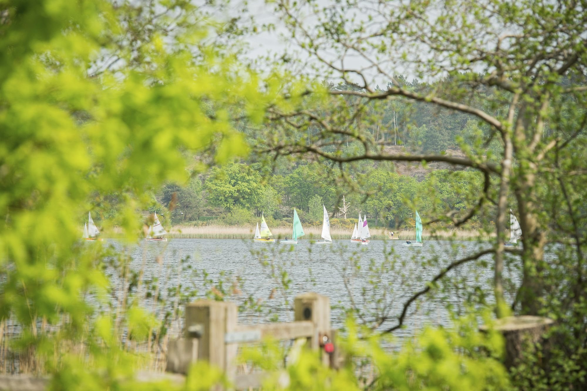 local boating lake near new quarter in bordon