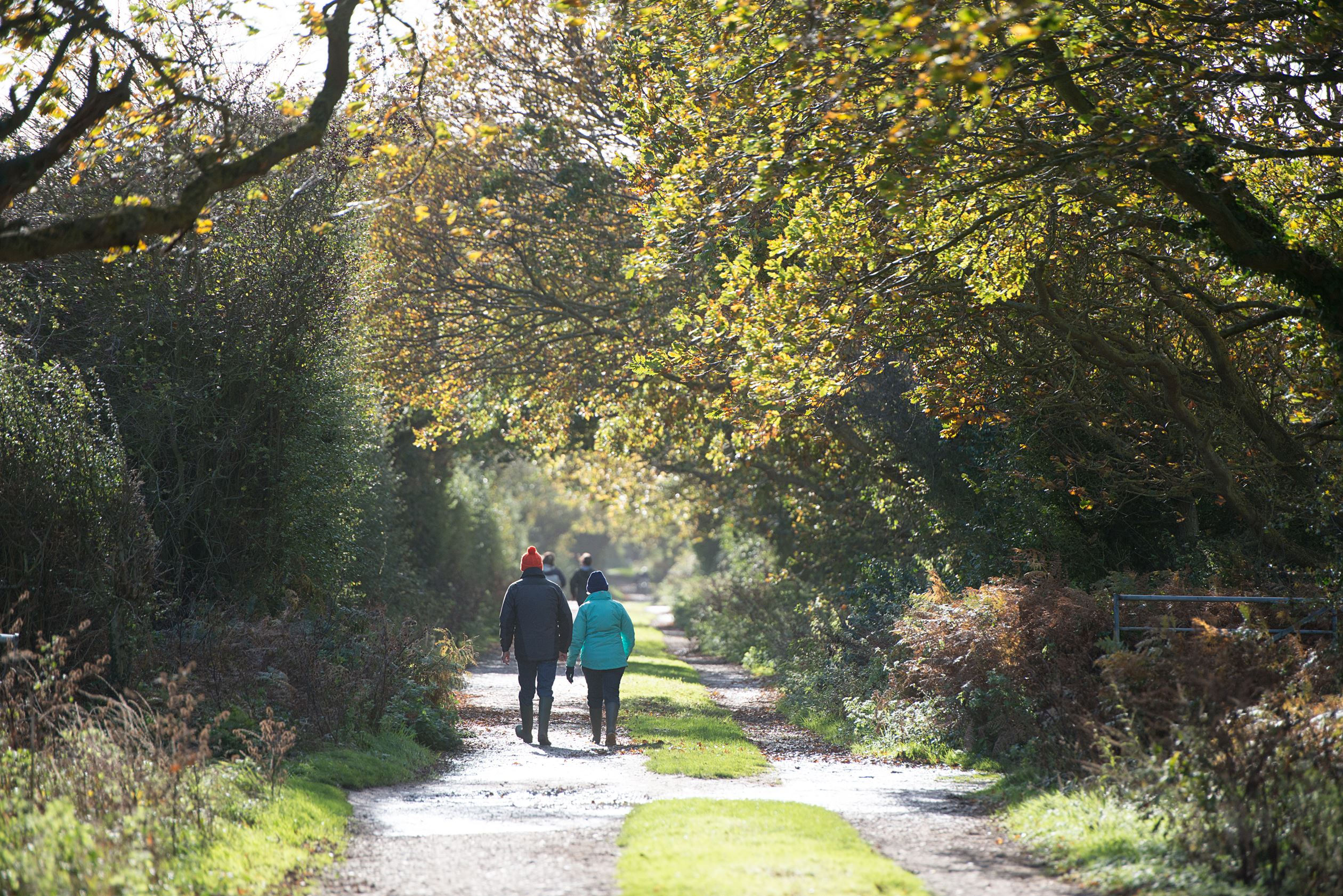 Hayling Island Local Area