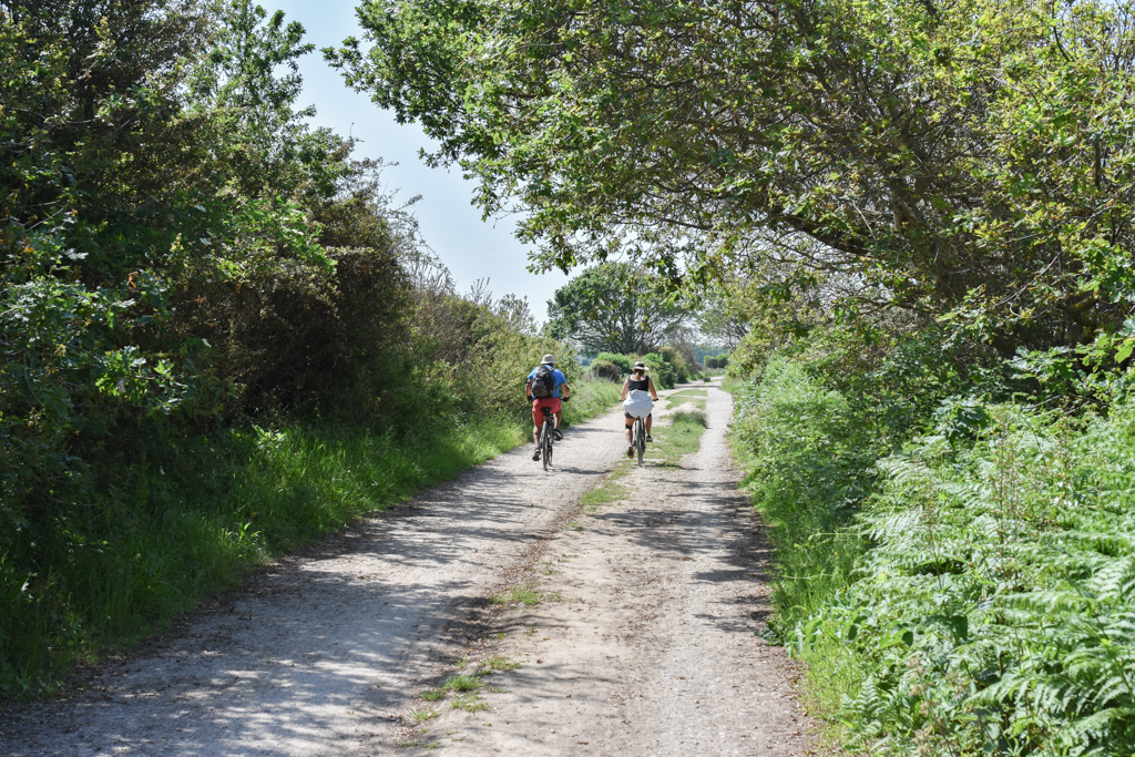 Pebble Walk, Hayling Island