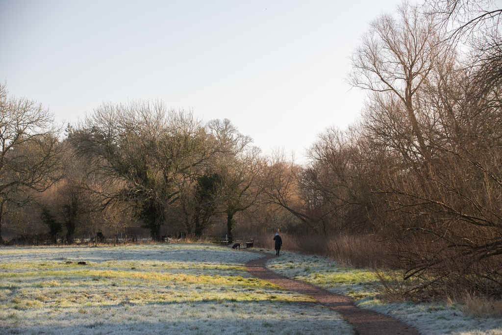 external image of local park in winter