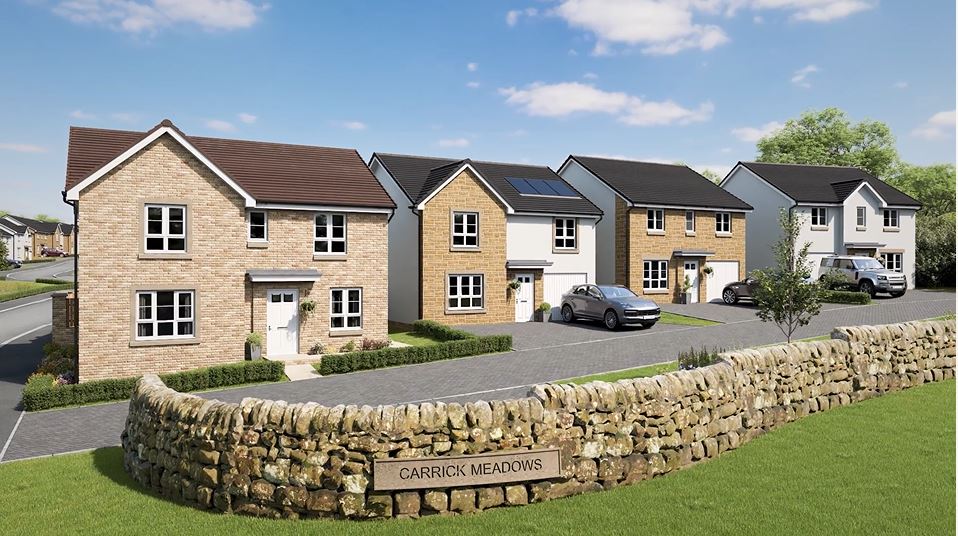 Carrick Meadows Street Scene