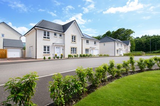 Thornton View