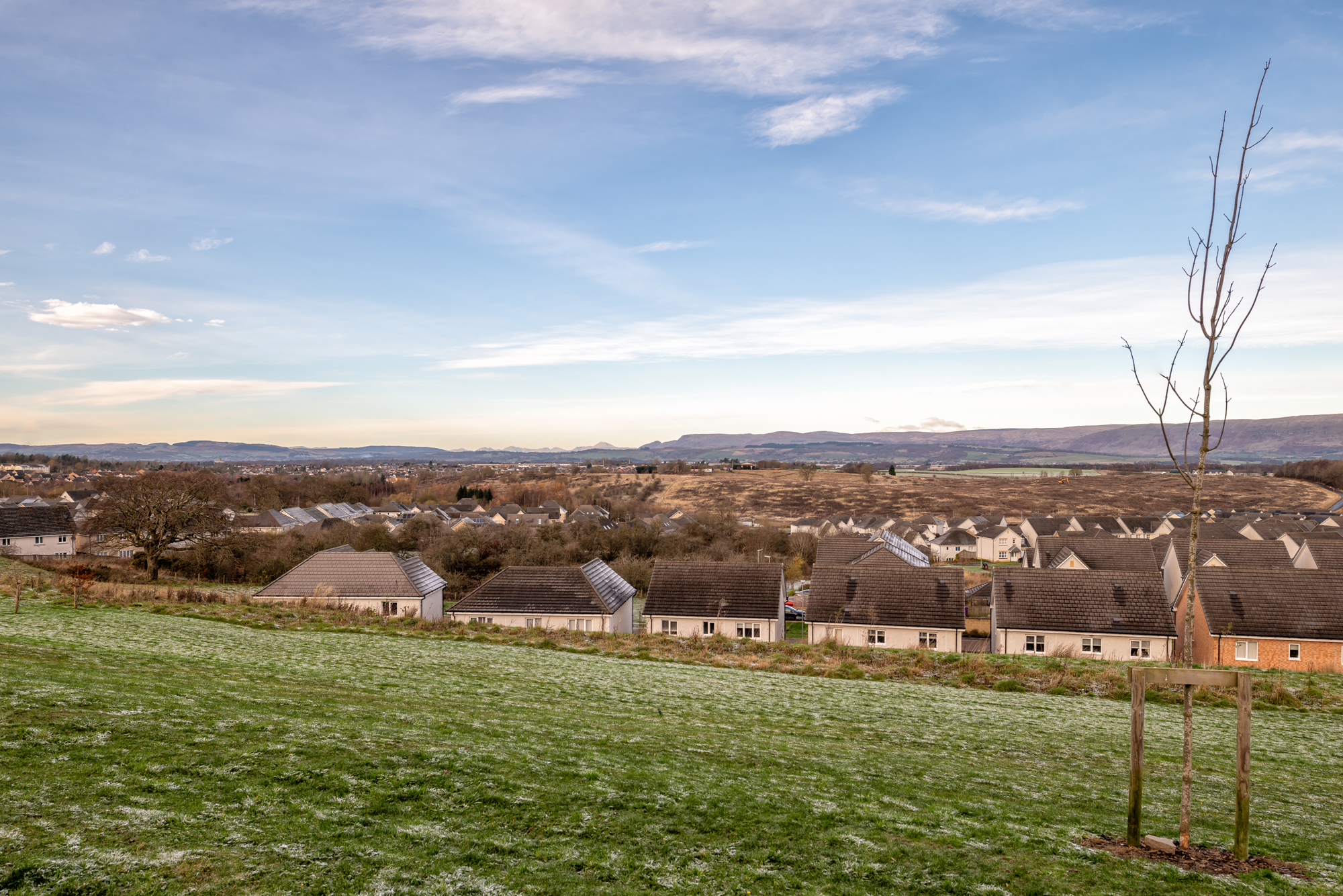 Wallace Fields Phase 4