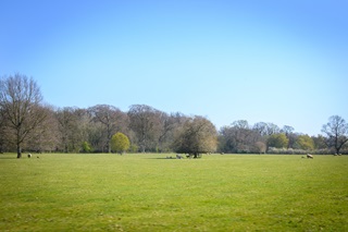 Harclay Park