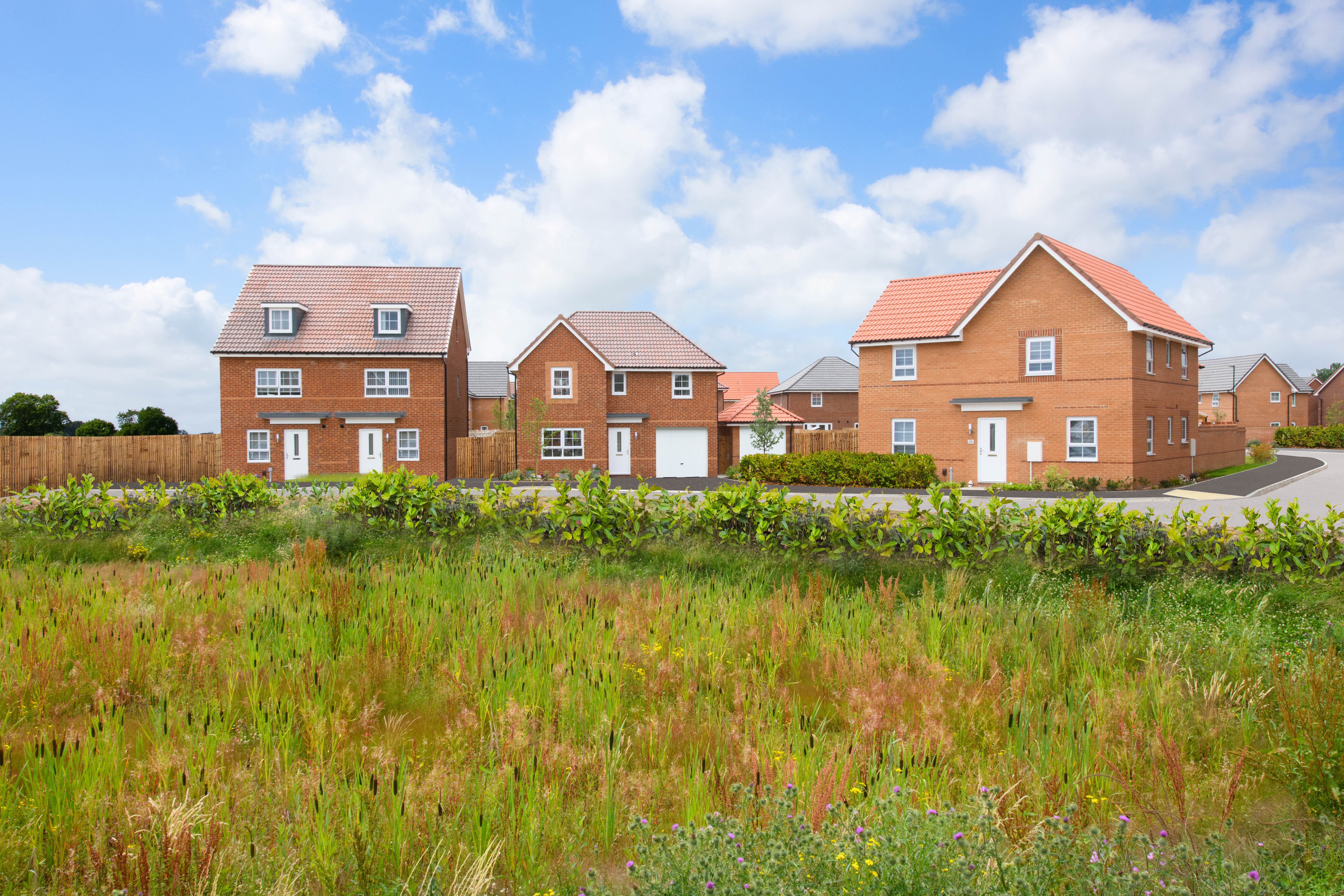 Street with new build houses at Park Edge