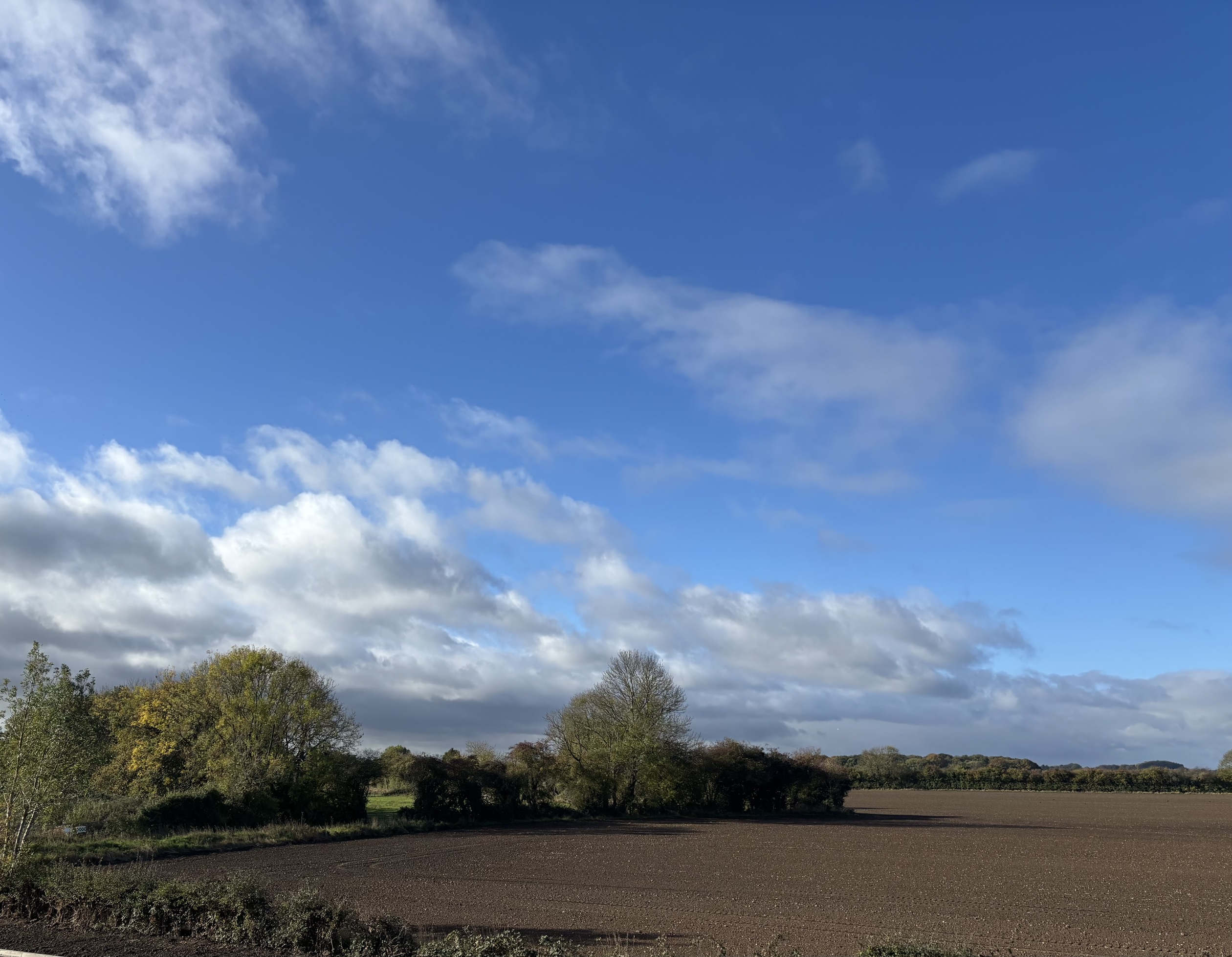 poppy fields view image 2