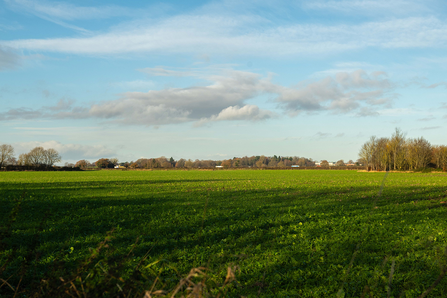The area local to Russet Park, Copmanthorpe