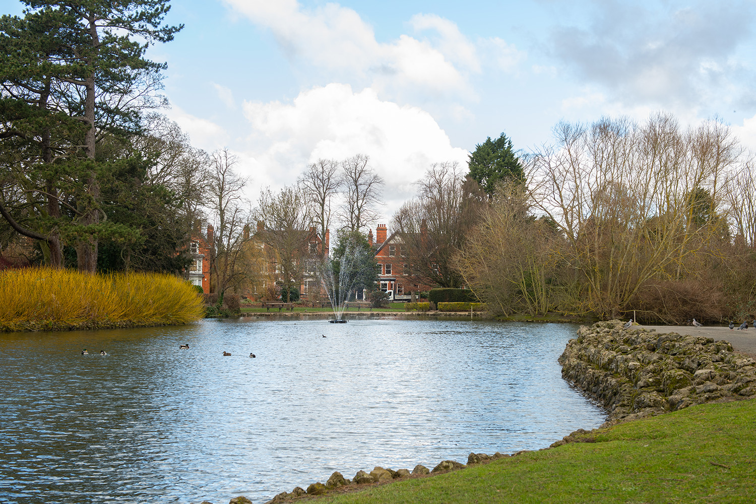 New Waltham local area