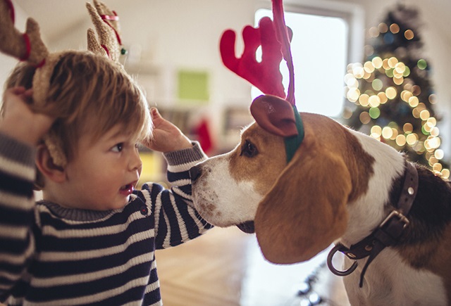 Seasonal imagery - Christmas
