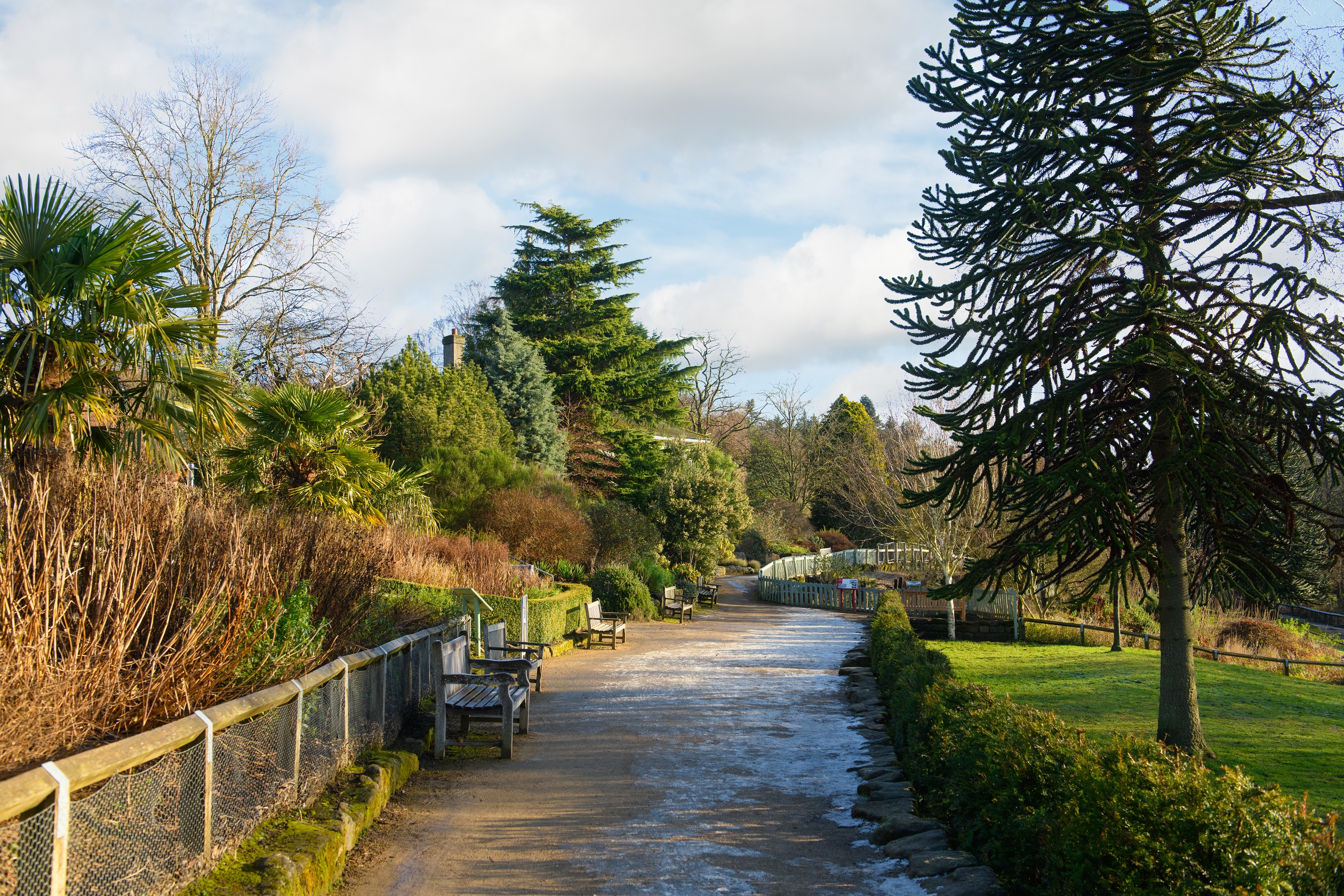 Local park perfect for walks in Adel