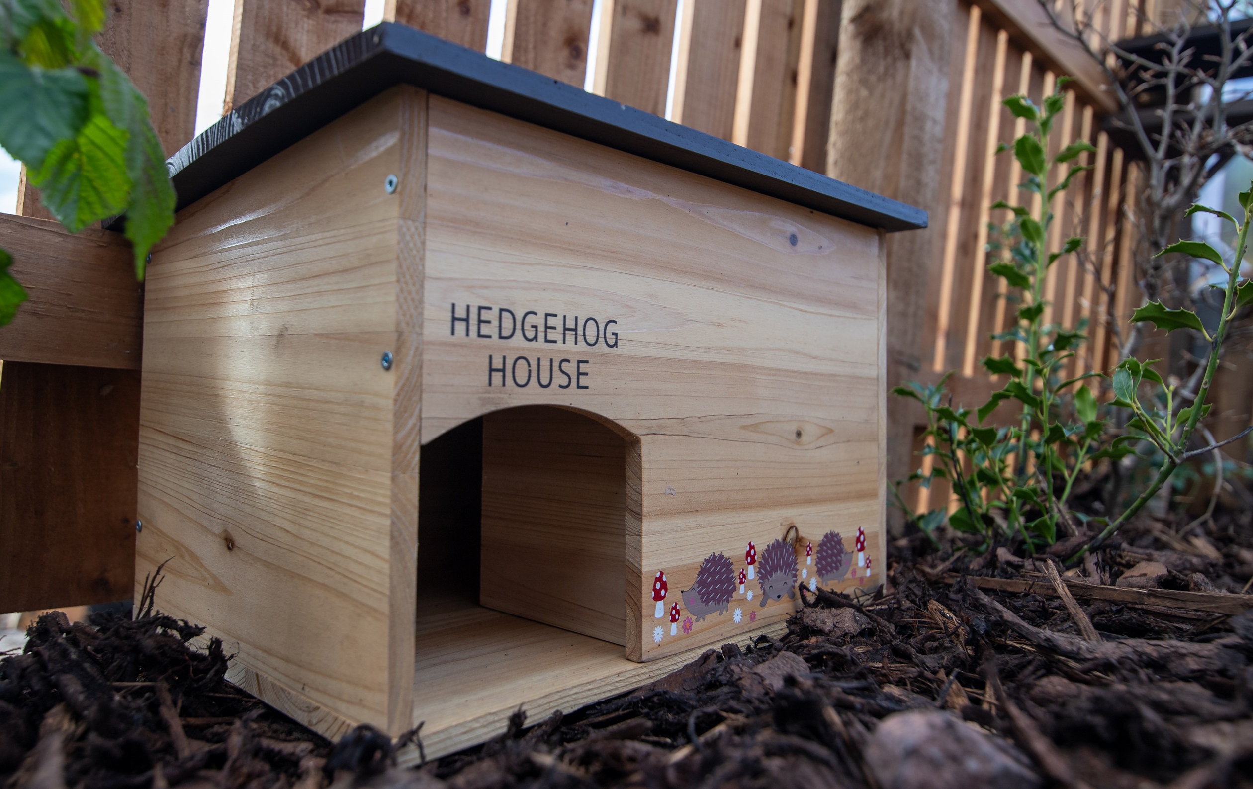 Insight House hedgehog house