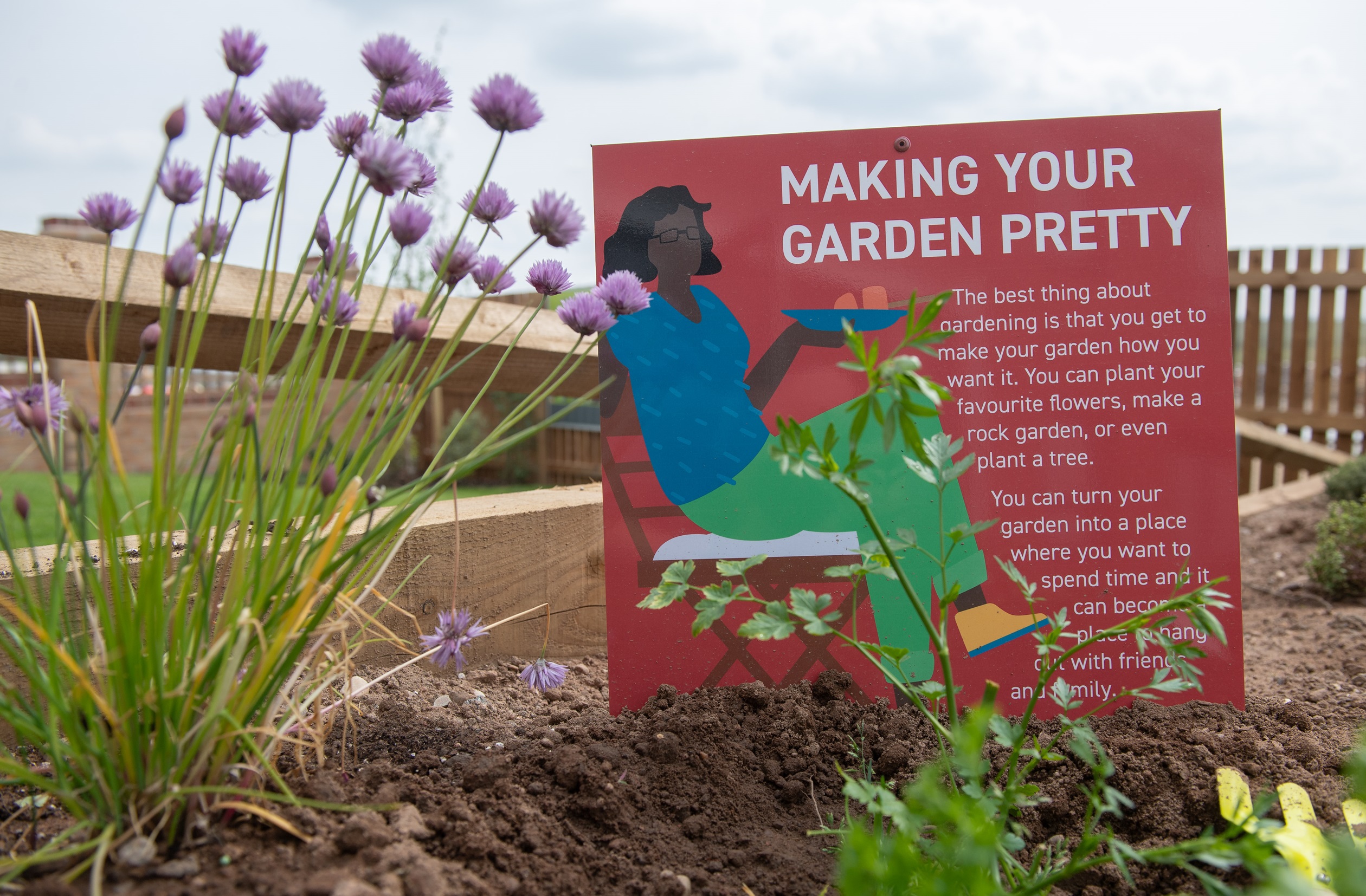 Insight House Garden