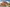 Moresby CGI