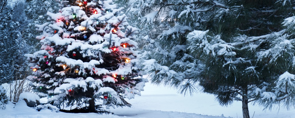 Will it be a White Christmas for You