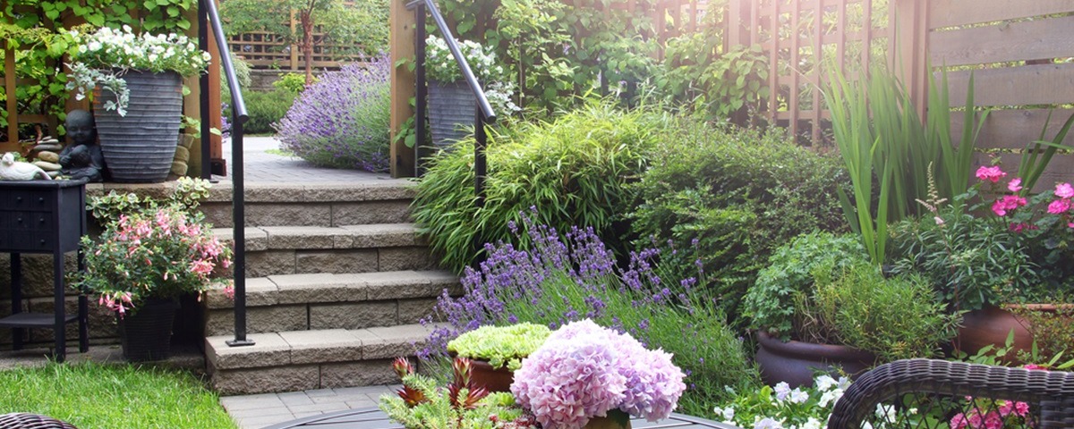 Ideas for small gardens