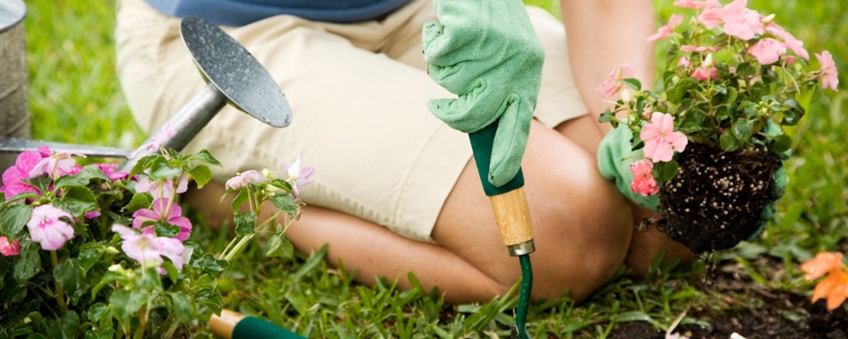 Planting Flowers
