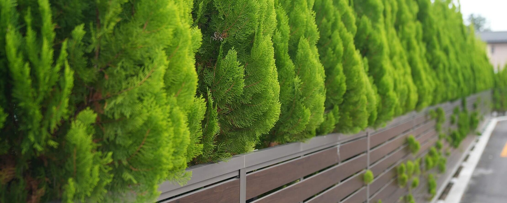 How to make your new build garden private