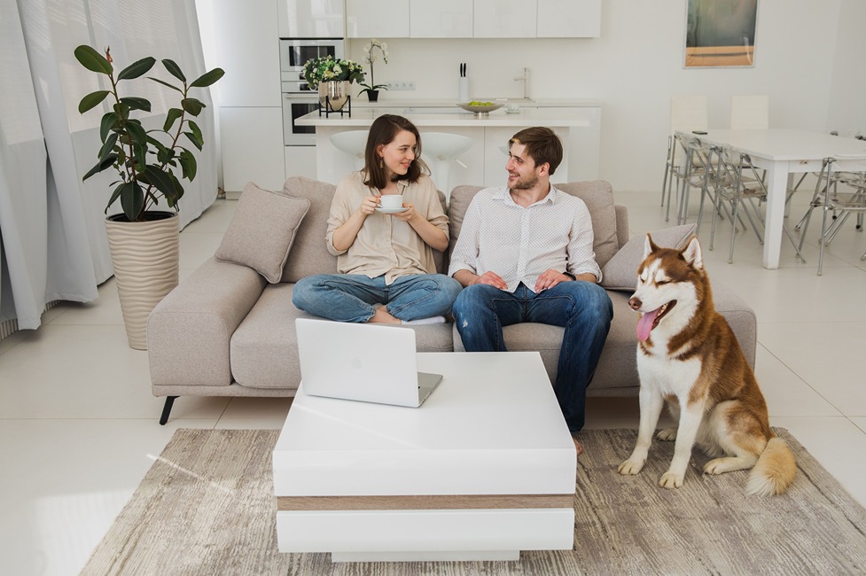 dogs in the house
