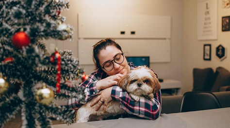 christmas tree and pets