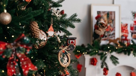 Christmas tree inside the home