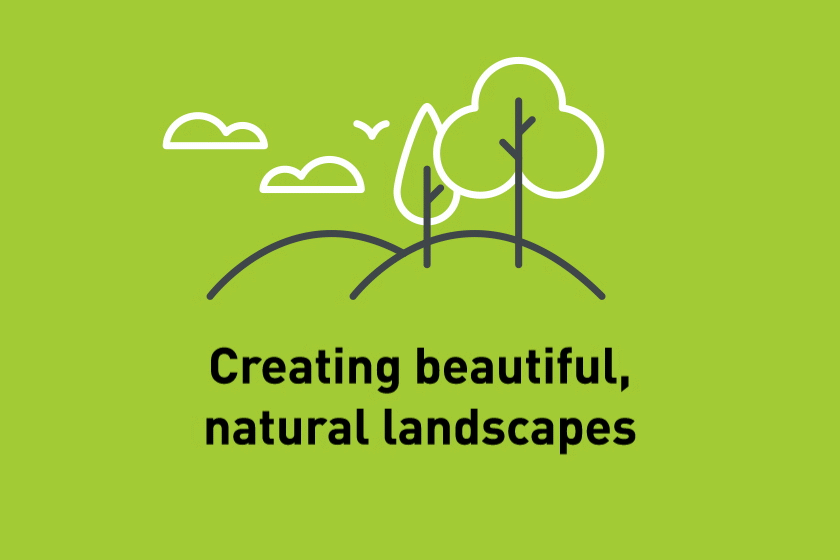Creating beautiful natural landscapes