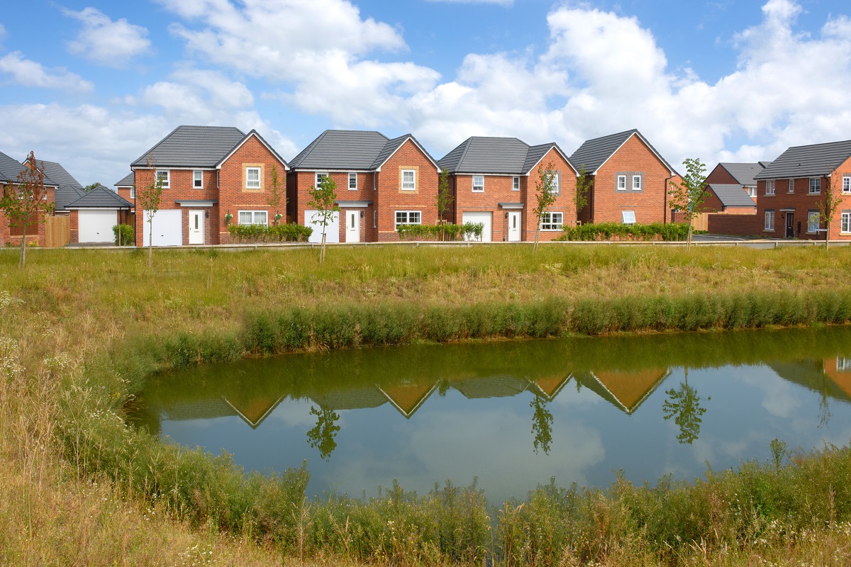 Holly Blue Meadows green open space