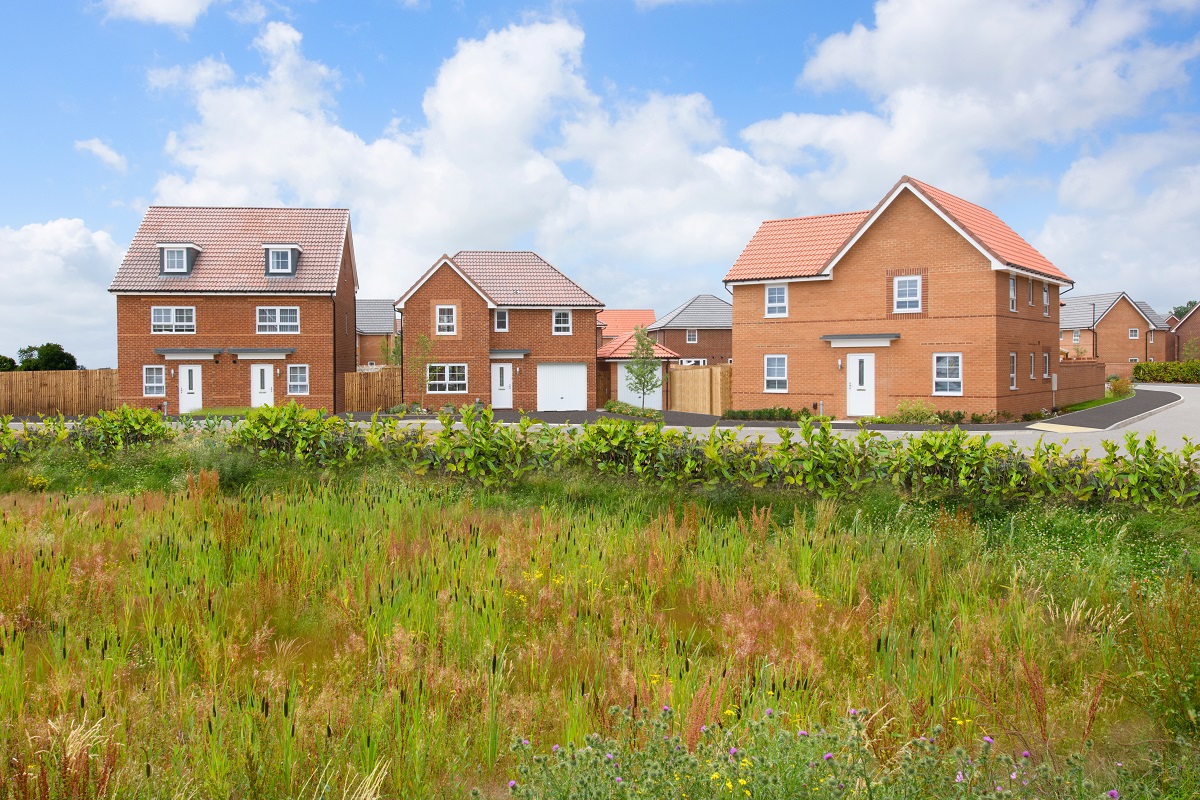 New is built to last with firm foundations