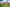 External image of Long Shoot development