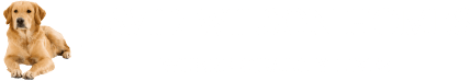 David Wilson Homes