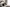 Image alt text
