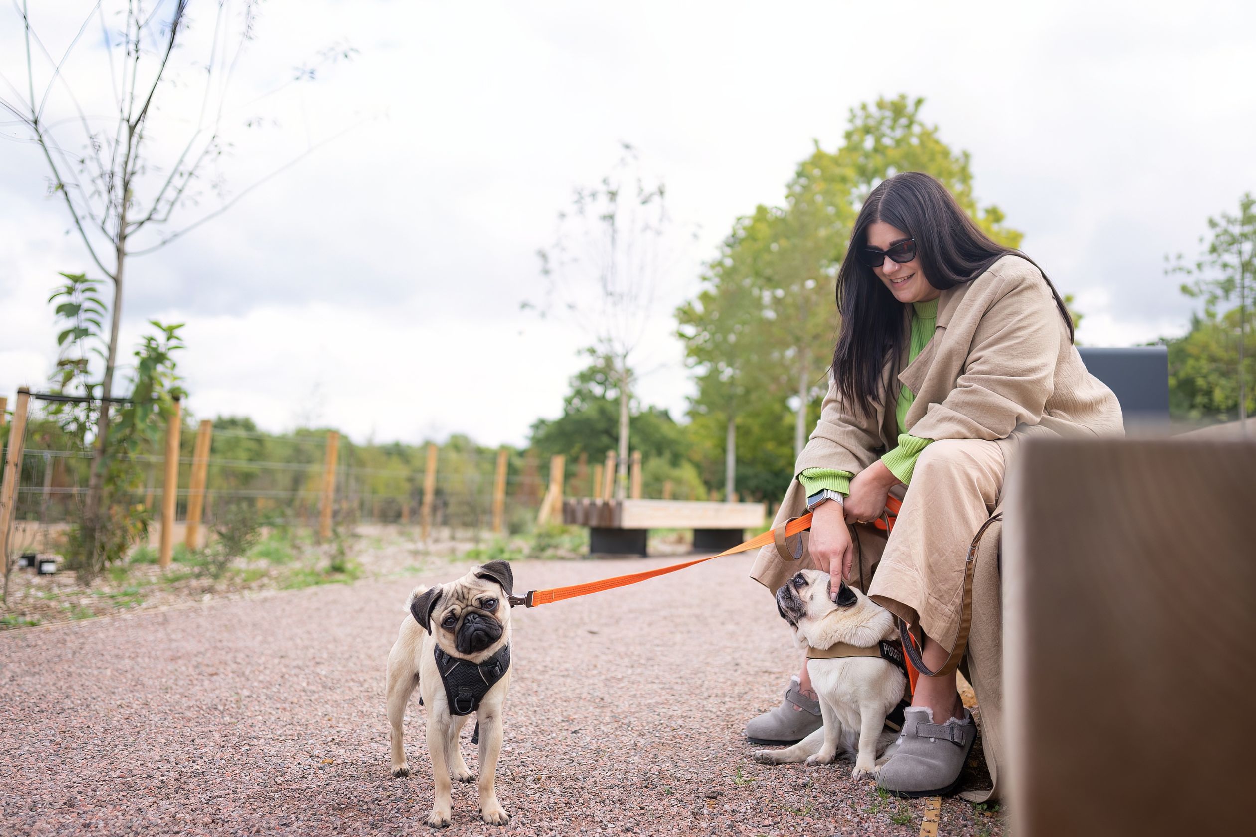 pet friendly development