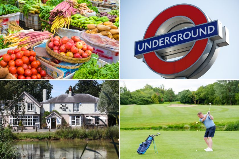 ridgeway summer collage