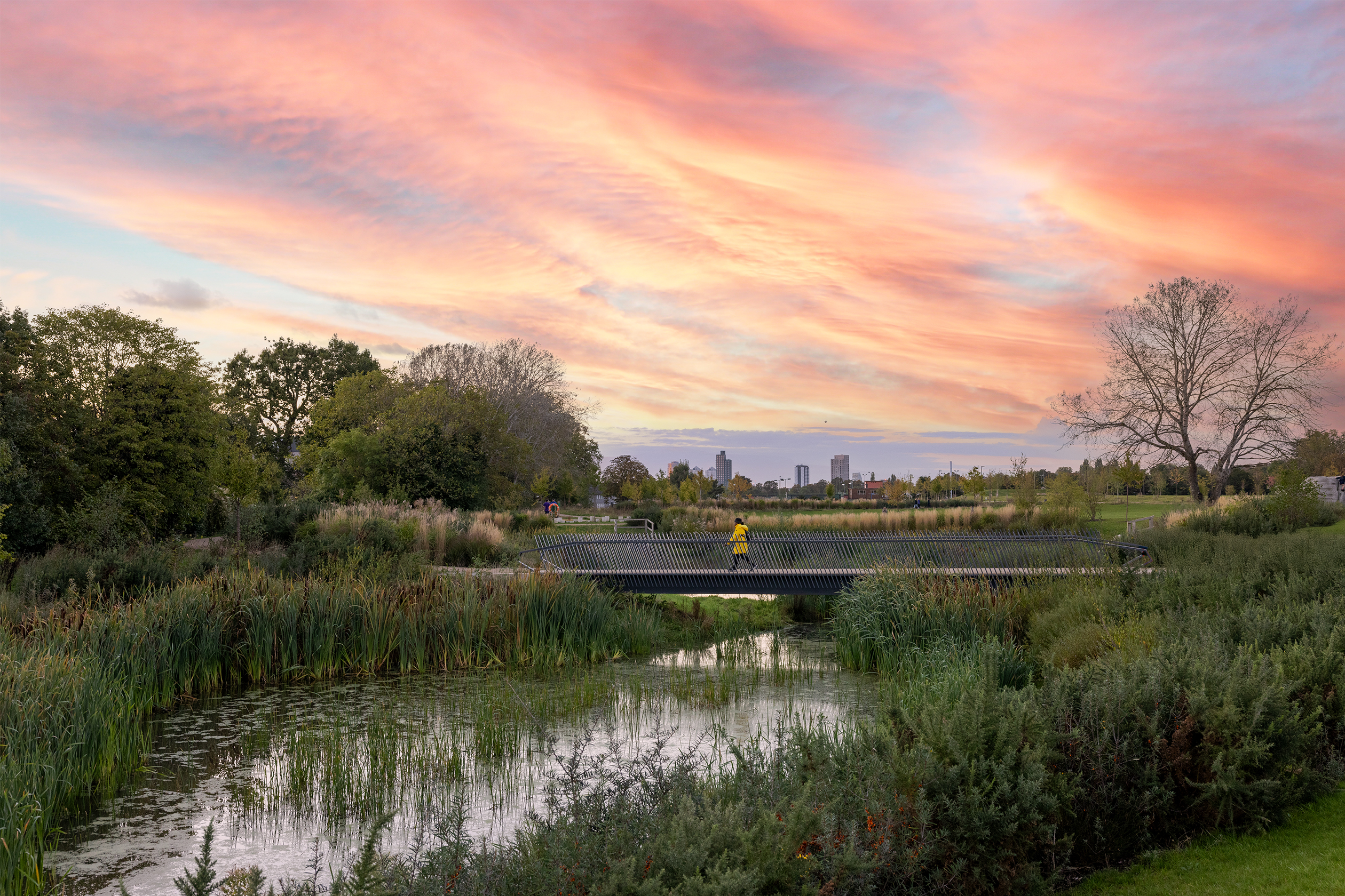 Springfield Park - Pond 