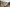 Springfield Boulevard cgi