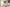 Image alt text