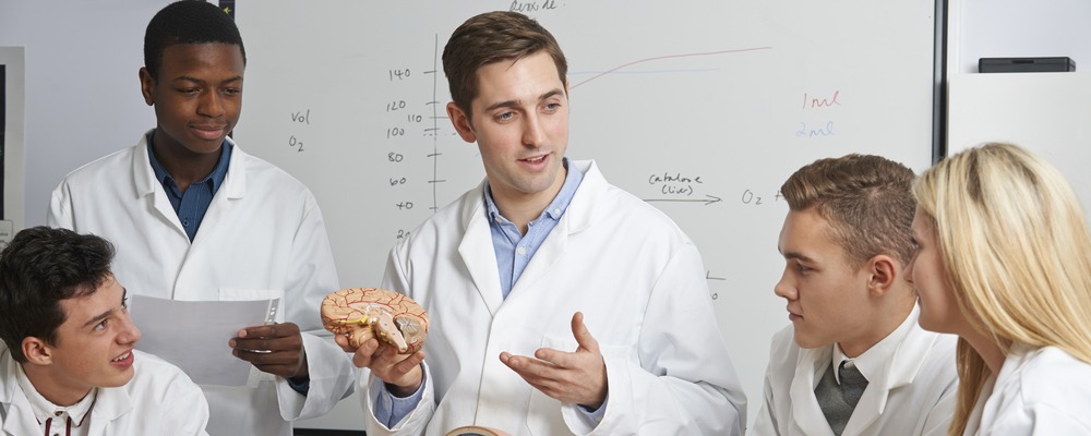 The Ultimate London School Guide to Buy a Property