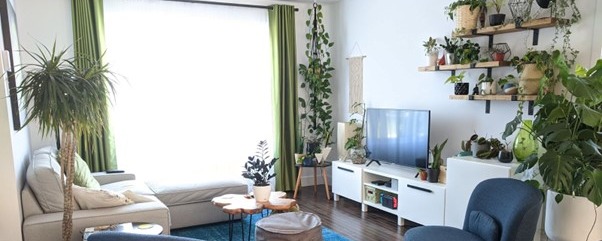 Tips to keep a thriving indoor garden in your apartment