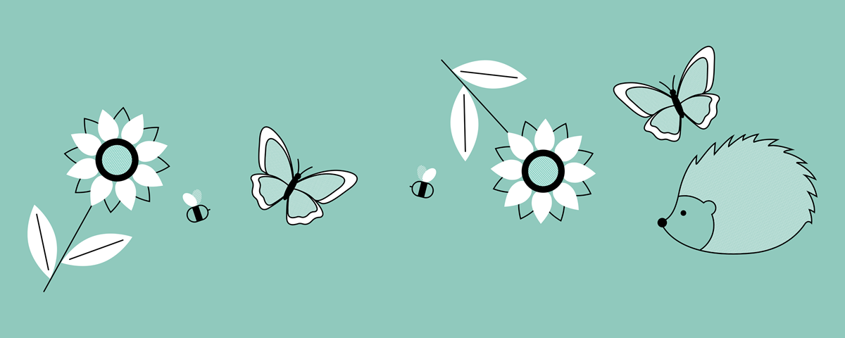 biodiversity in new build homes