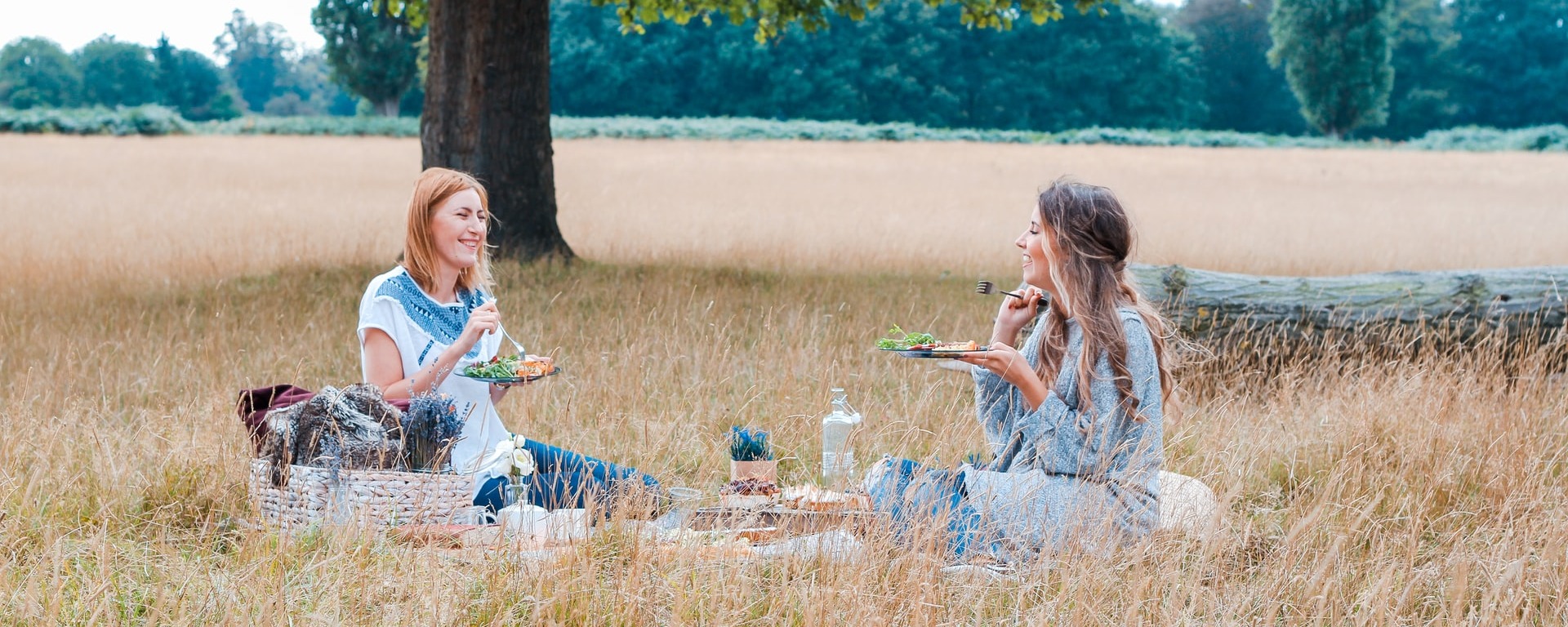 Picnic in London Park