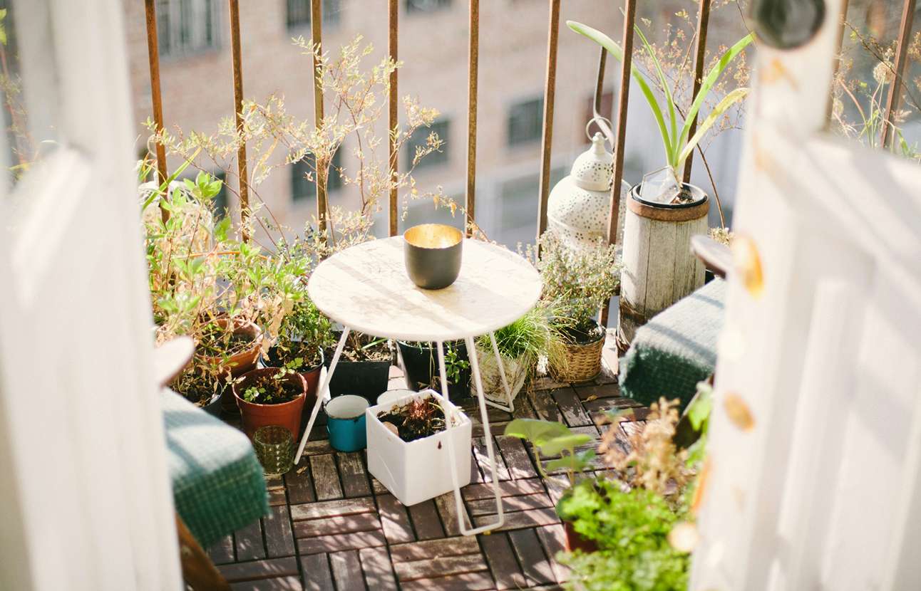 plants and coffee table on balcony