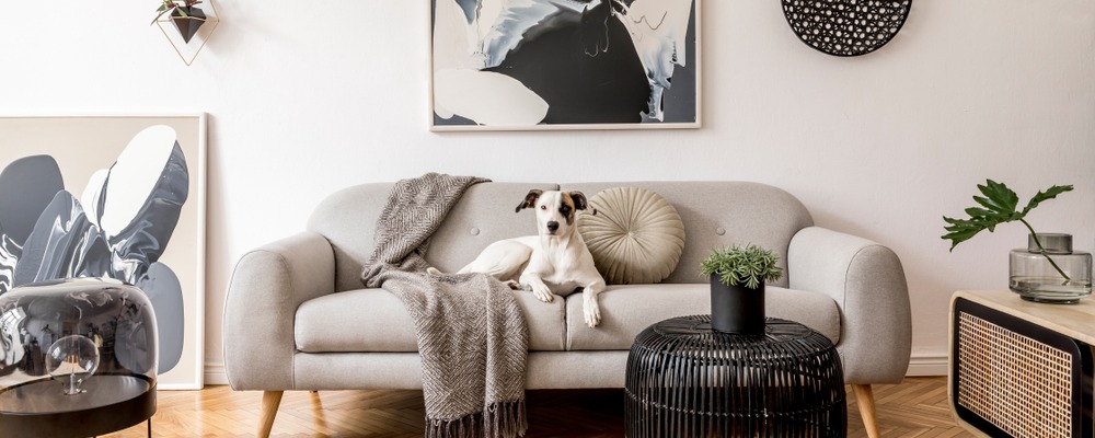 Small Apartment Design Ideas