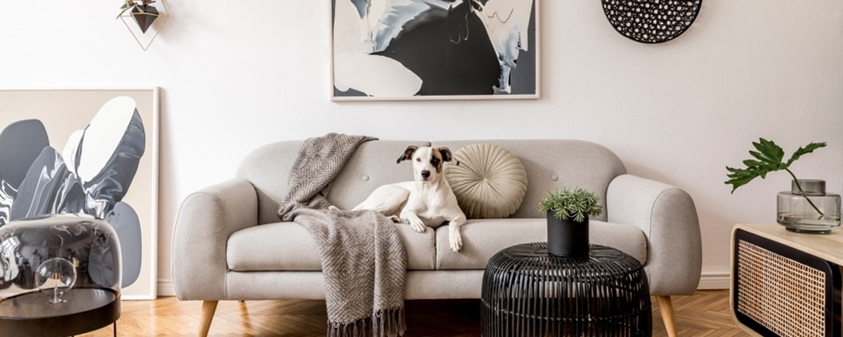 Small Apartment Design Ideas