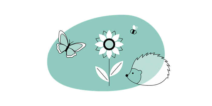 a flower, butterfly and hedgehog